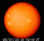 A NASA image of the Sun